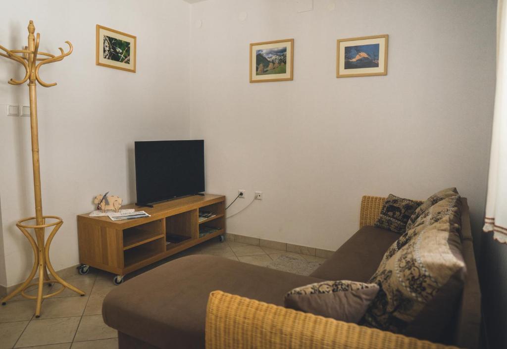 罗格坡曼戈唐Apartma Miranda的带沙发和电视的客厅