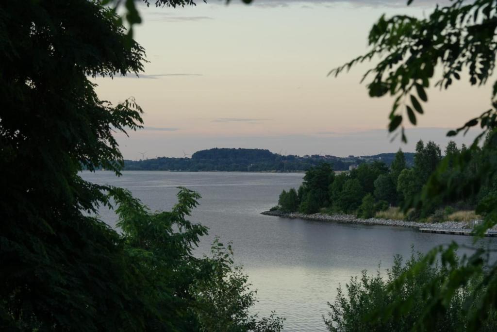 格尔利茨Ferienwohnung zum See的享有远处树木的河流美景