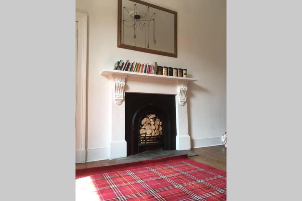 爱丁堡Bread street, Central and spacious one bed flat的客厅设有壁炉和红色地毯。