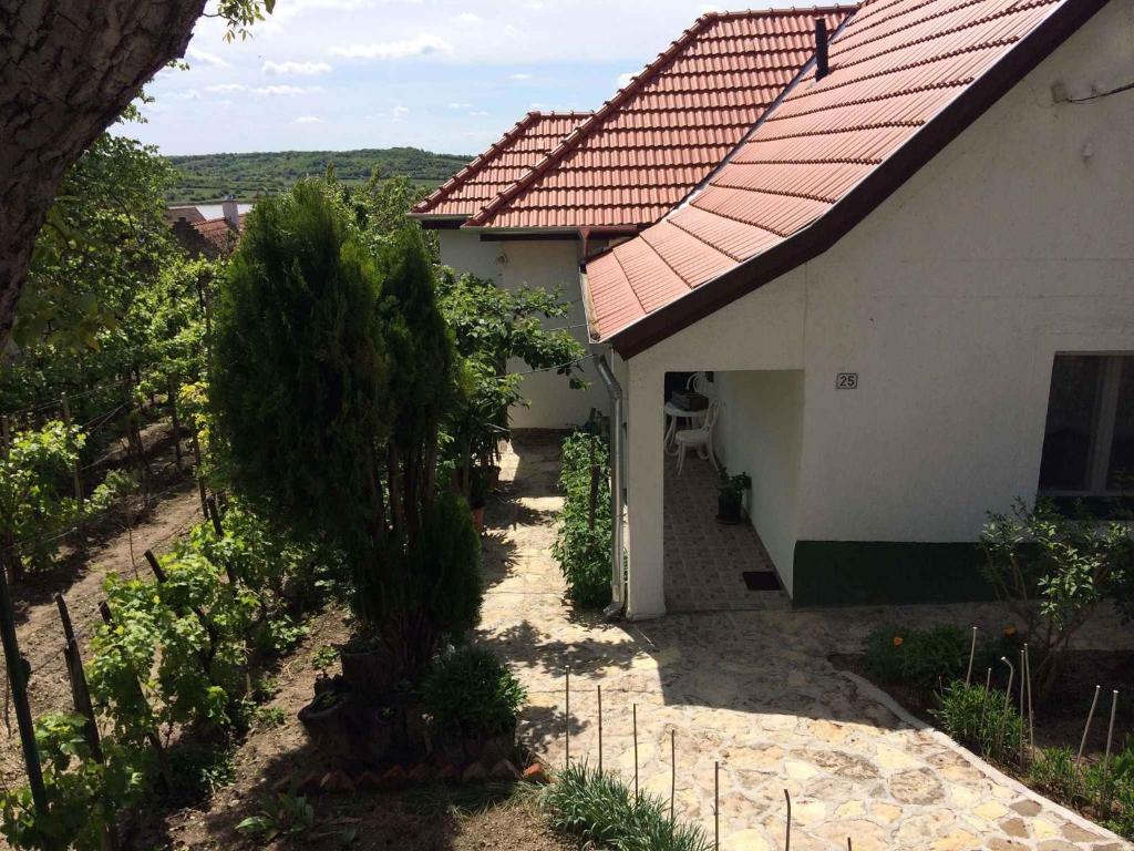 蒂豪尼Holiday home in Tihany/Balaton 20236的白色的房子,有红色的屋顶和院子
