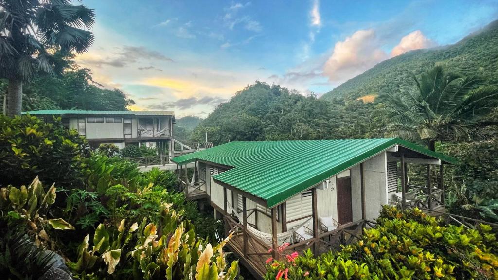 UtuadoCasa Grande Mountain Retreat - Adults Only的山上有绿色屋顶的房子