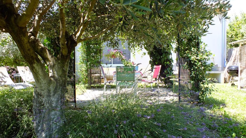 莫里埃莱阿维尼翁La Maison sous l'olivier的草地上种着树和椅子的花园