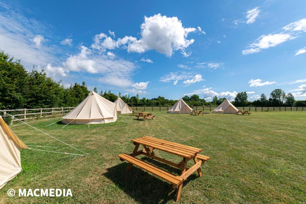 温彻斯特Bell tent glamping at Marwell Resort的一组帐篷和野餐桌