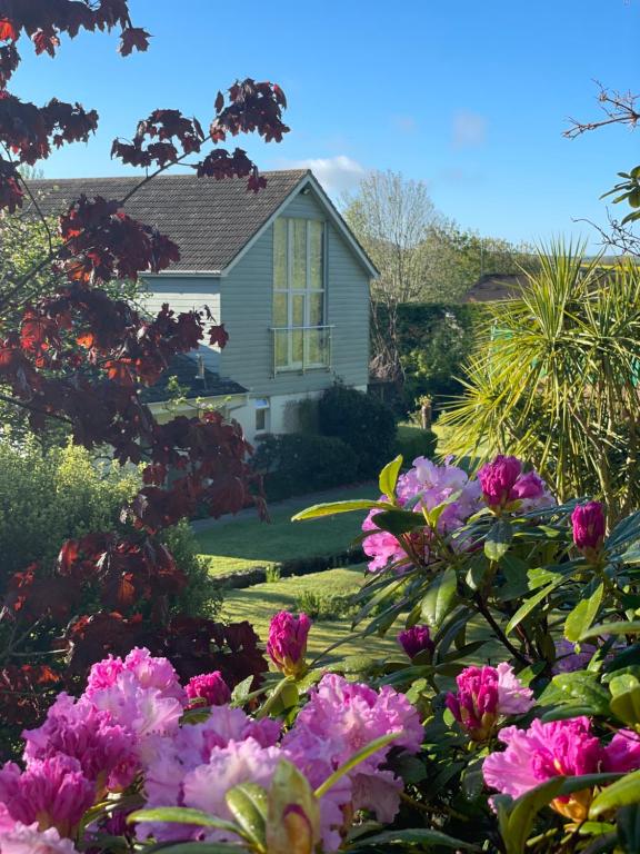 金斯布里奇Westwaterhead的前面有粉红色花的房子