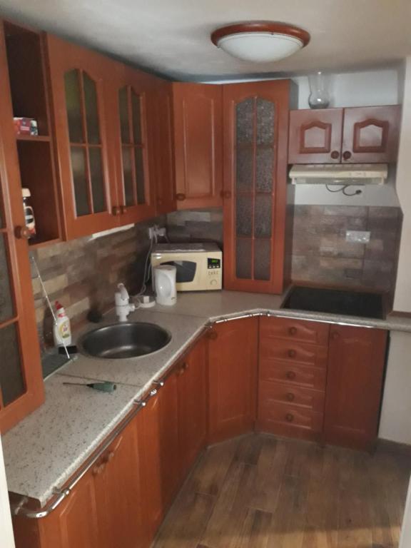 然贝尔克chalupa žamberk的一个带木制橱柜和水槽的厨房