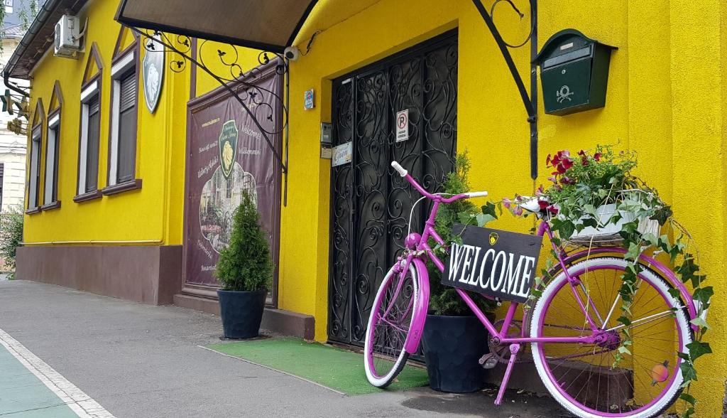 蒂米什瓦拉Pension Casa Leone的停在黄色建筑前面的粉红色自行车