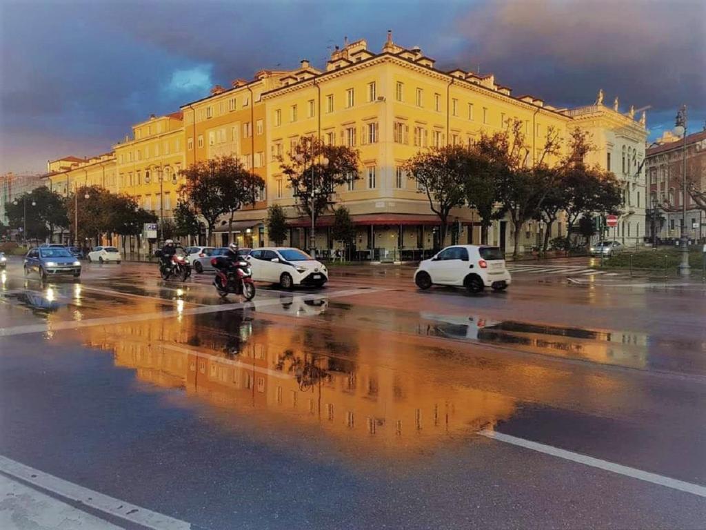 的里雅斯特阿尔格兰佐酒店的一条城市街道,在黄色建筑前停放汽车