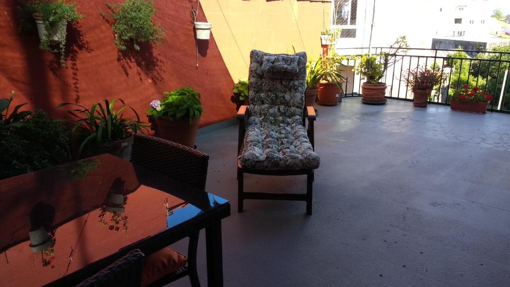 坎巴多斯Casa Pepa的坐在植物阳台的椅子