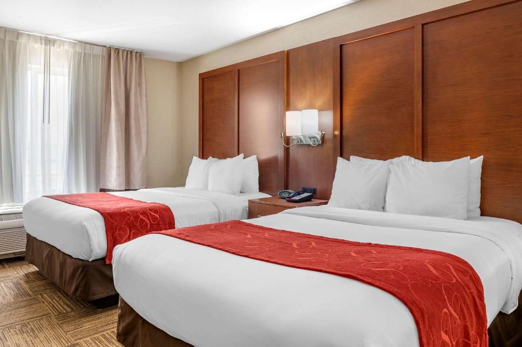 乌尔班纳尚佩恩大学区康福特套房酒店客房内的一张或多张床位