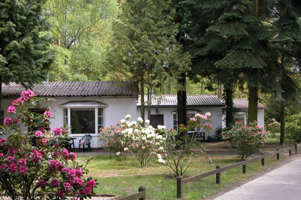 科瑟罗达默罗度假屋的前面有鲜花的小白色房子