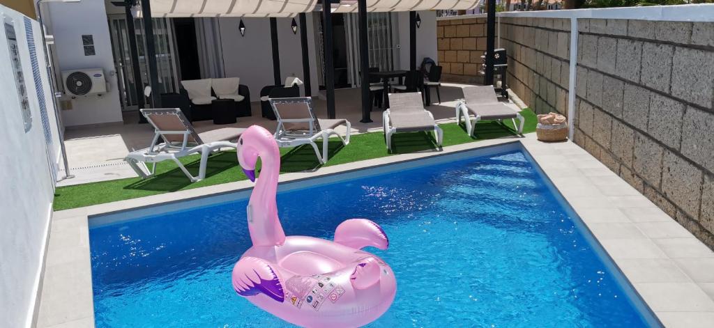 卡亚俄萨尔瓦赫Villa Orquídea的游泳池里的粉红色充气粉红色火烈鸟