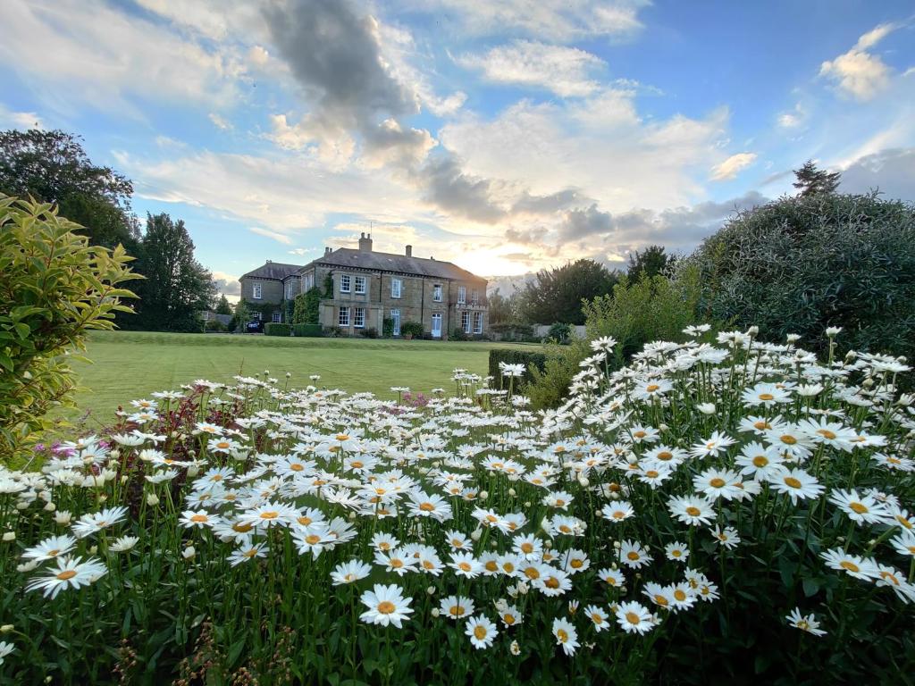 瑟斯克Sutton Hall Resort的房屋前方的白色花田