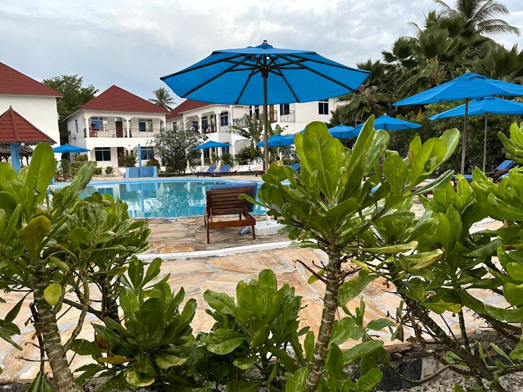 江比阿Visitor's Inn的一个带蓝色遮阳伞的游泳池的度假酒店