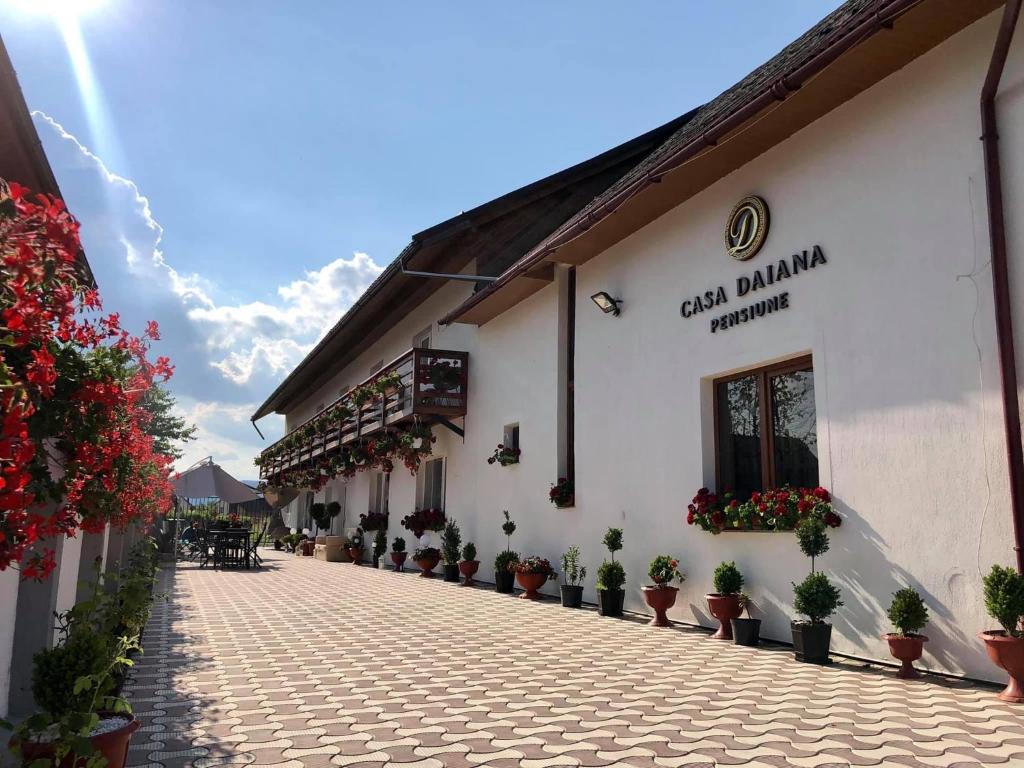 舒加塔格盐矿镇Casa Daiana的旁边是种盆栽植物的建筑