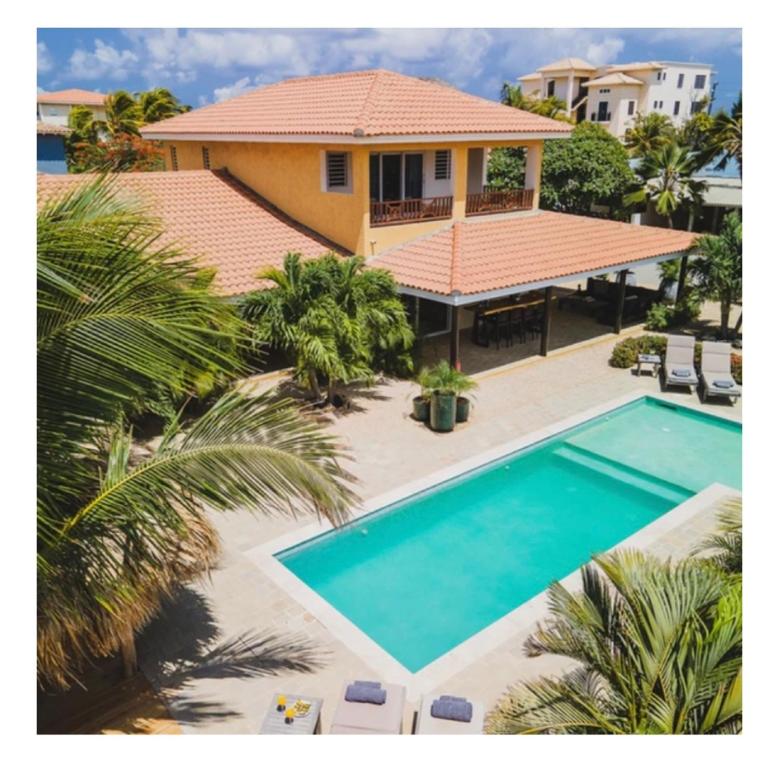 BelnemPuur Bonaire Boetiekhotel的棕榈树屋前的游泳池
