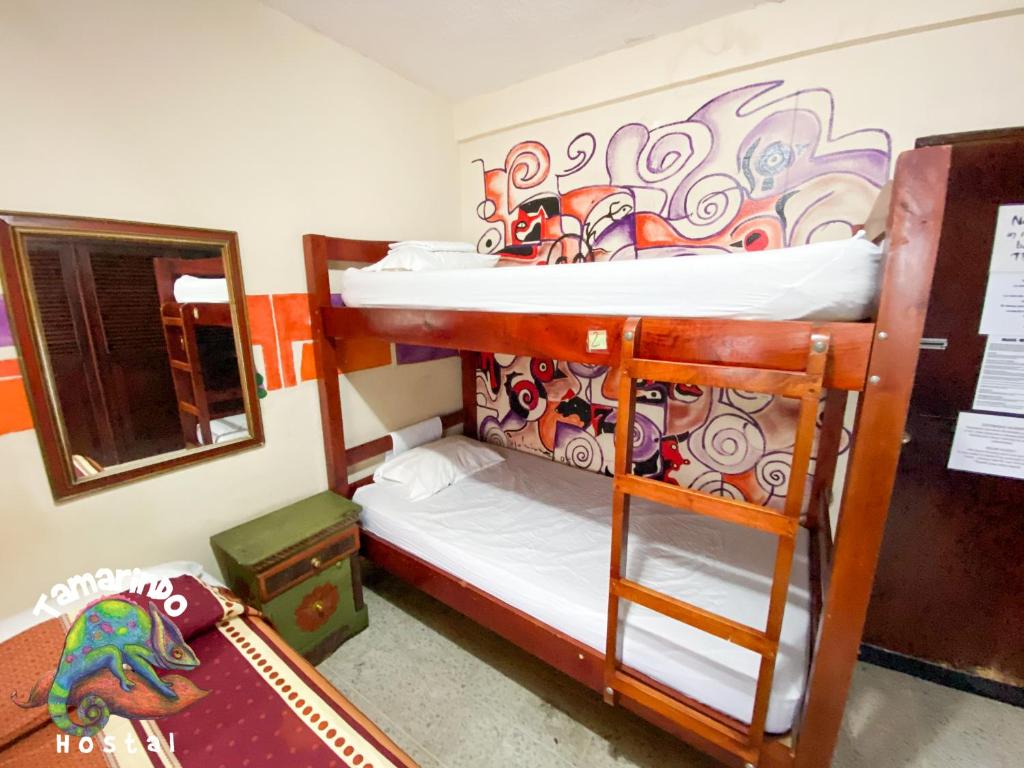 塔玛琳酒店客房内的一张或多张双层床