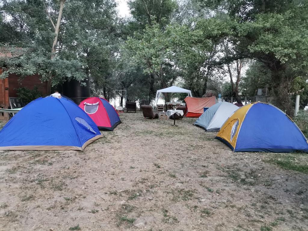 诺维萨德EXIT Camping with bungalow, mobile home, tents, and empty spots with private acces to the beach的相册照片