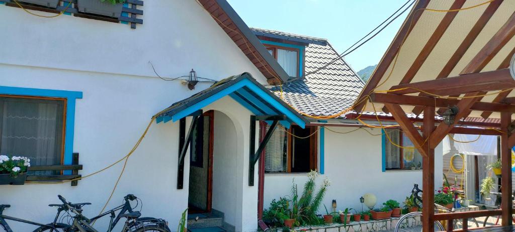 上维谢乌Casa Toth din Țipțerai的一辆自行车停在房子前面的房子