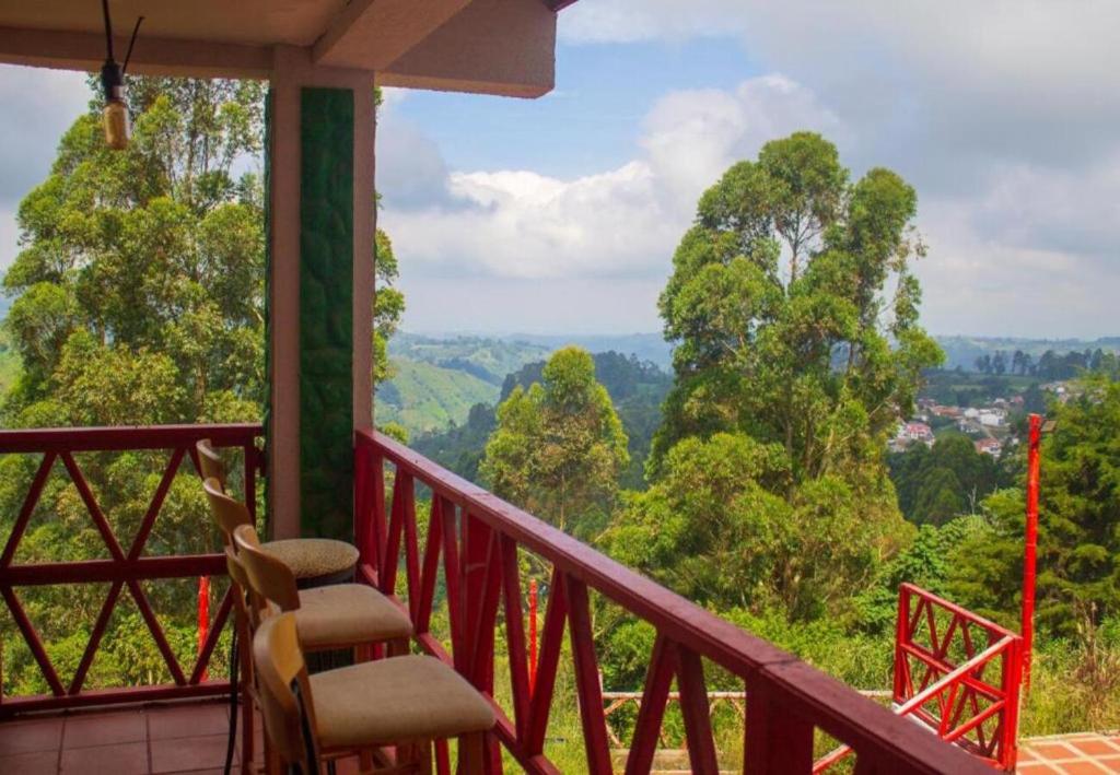 萨兰托Hotel Natura Cocora的阳台配有椅子,享有树林美景