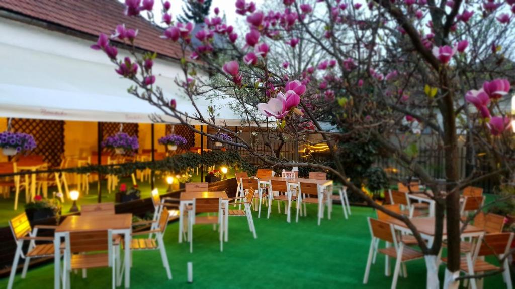 布拉索夫Casa Andreea的花园里的一组桌椅,花朵粉红色