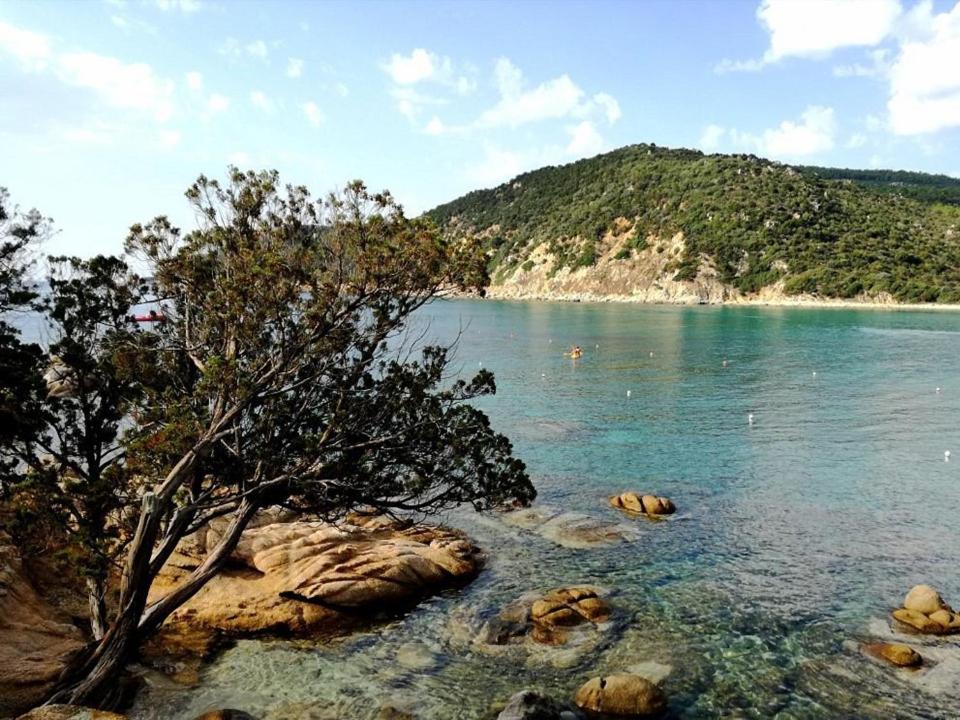 维拉普特祖Costa vacanze in low cost - IUN P2923的海岸上一棵树的水域