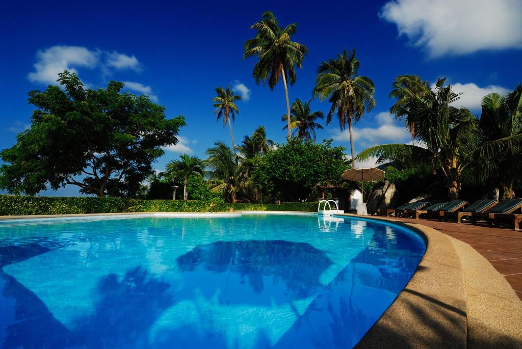 哈林海滩Sarikantang Resort & Spa, Koh Phangan的一座拥有蓝色海水和棕榈树的游泳池