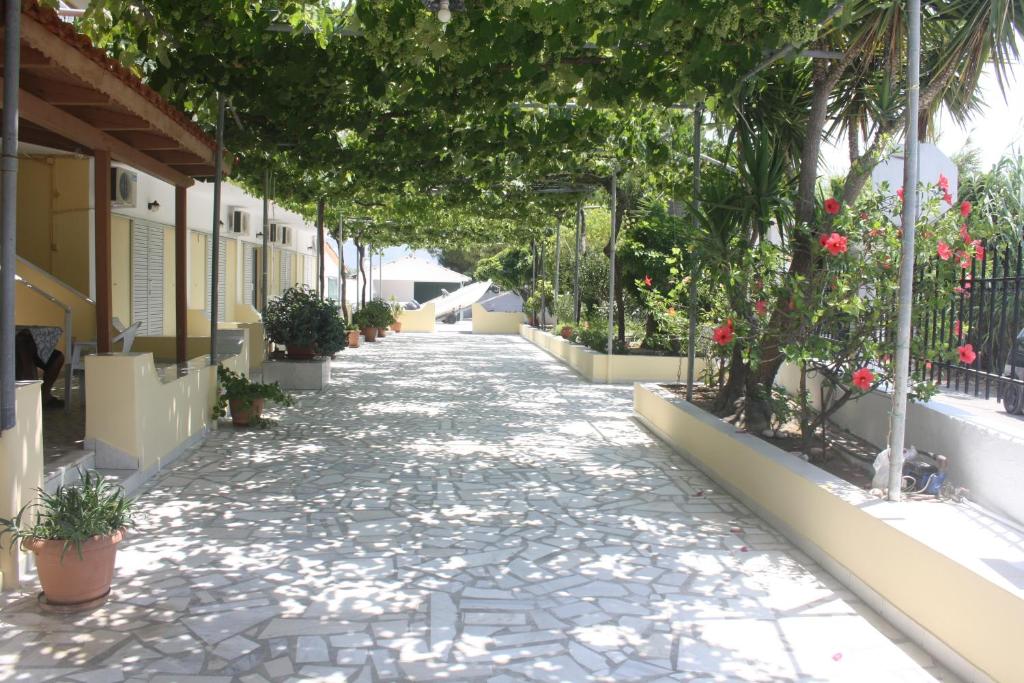 拉加纳斯MARIA STUDIOS LAGANAS的一条有树木和植物的鹅卵石街道