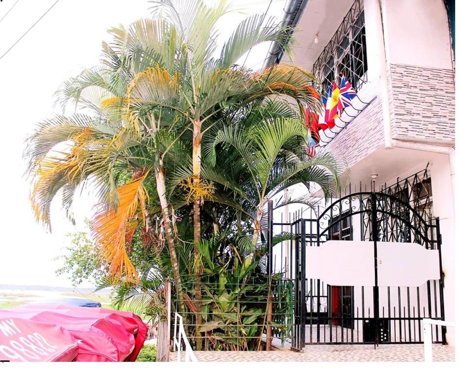 伊基托斯Hostal Maravilla Amazonica的一座建筑前的棕榈树