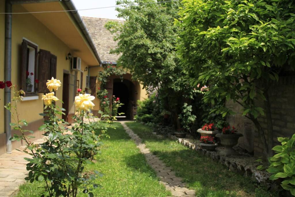 斯雷姆斯基卡尔洛夫奇Apartman Brankova kuća的花园带走道的房屋