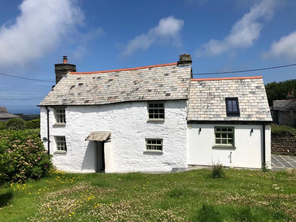 廷塔杰尔Picture perfect cottage in rural Tintagel的田野上屋顶的白色房子