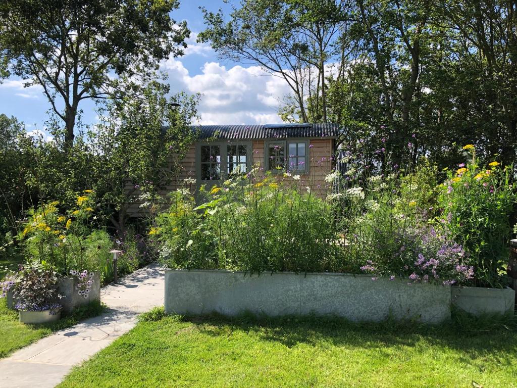 奇切斯特Little Plovers Shepherd Hut的一座花园,在一座建筑前种有鲜花