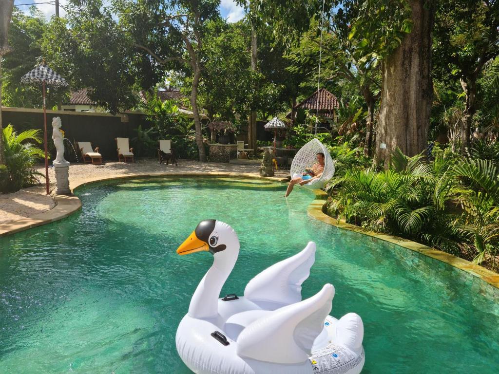 乌鲁瓦图Rasasvada cottages的两个白天鹅在院子里的游泳池里