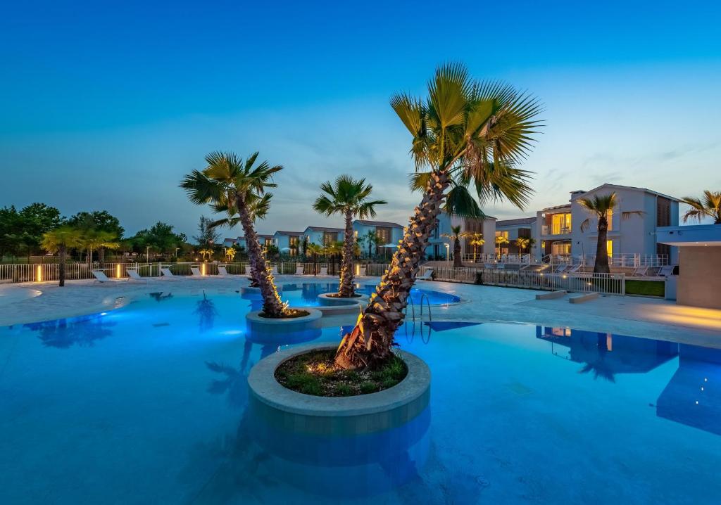 卡奥莱Pareus Beach Resort的一群棕榈树在晚上的游泳池里