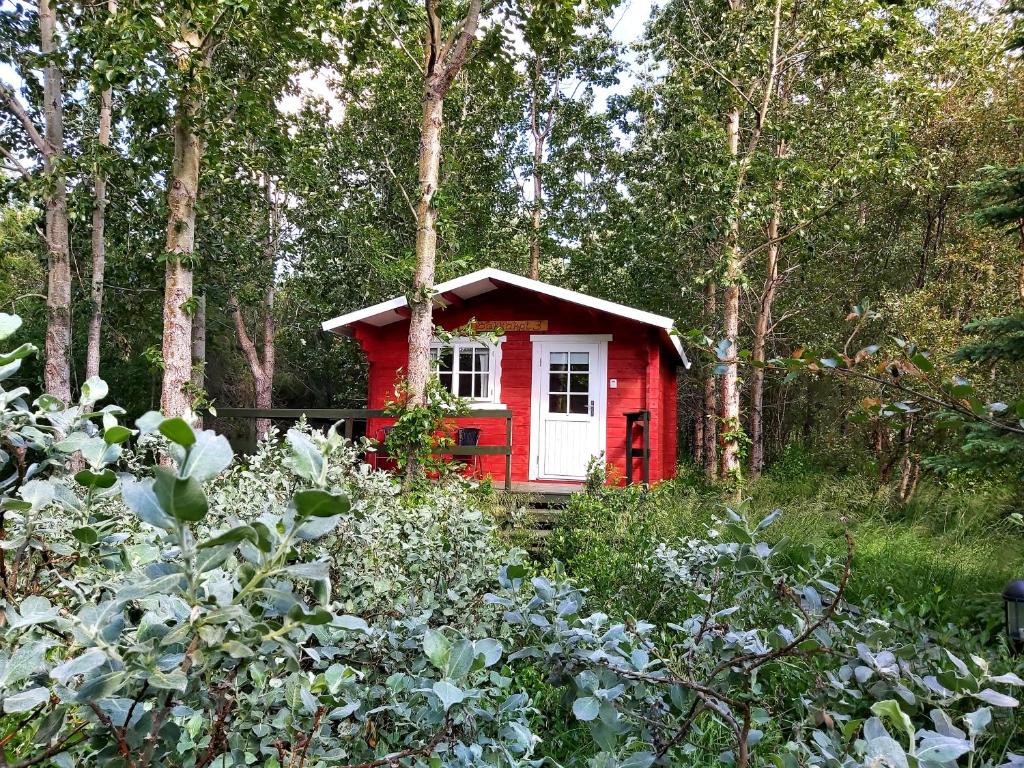 阿克雷里Bakkakot 3 Cozy Cabin In The Woods的森林中间的红色房子