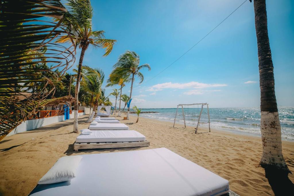 科韦尼亚斯Hotel Kpre Coveñas的棕榈树海滩上的一排白色床垫