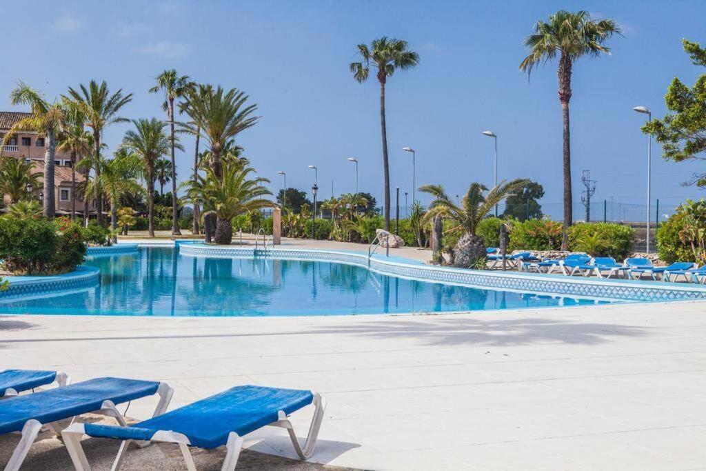 圣费尔南多Apartamento S. Fernando bahia sur的一个带蓝色椅子和棕榈树的大型游泳池
