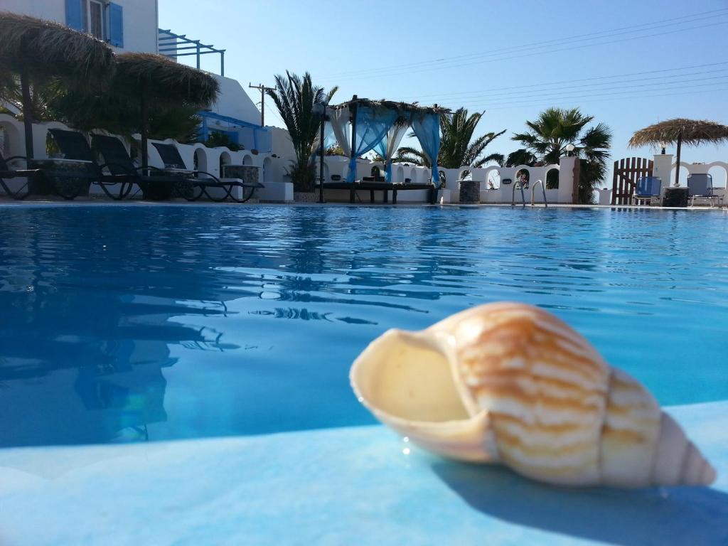 卡特瑞杜斯利威德洛斯别墅旅馆的度假村游泳池里的贝壳
