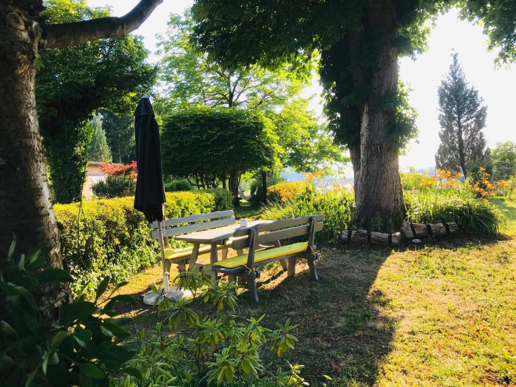 昂特保科洛佩因Georgihof im Park的树下带雨伞的公园长凳