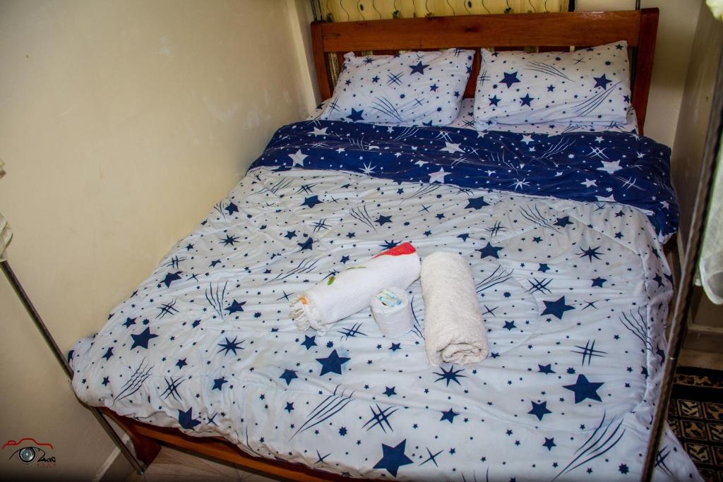 内罗毕One Bedroom Furnished in Kasarani的一张星空床和毛巾