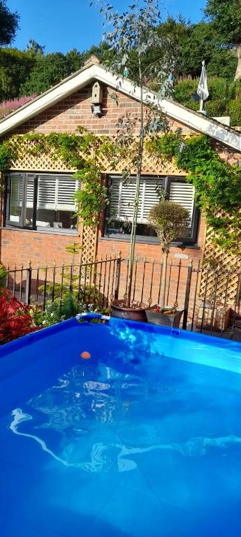 布莱克伍德The lodge的一座大蓝色游泳池,位于房子前