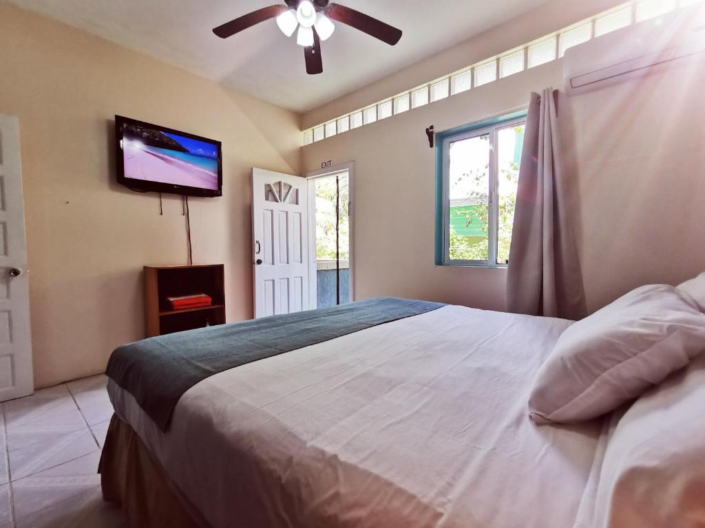 圣佩德罗BELIZE TROPICAL DREAM VILLAS的一间卧室配有一张大床和一台平面电视