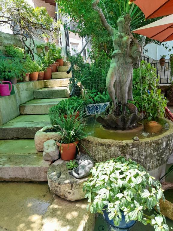 埃尔博斯克Casa Paco的植物花园中女人的雕像