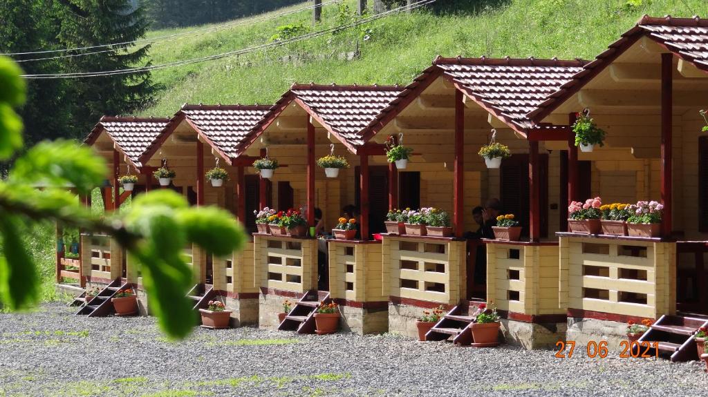 红湖Casutele Likas的一堆种有盆栽植物的小屋