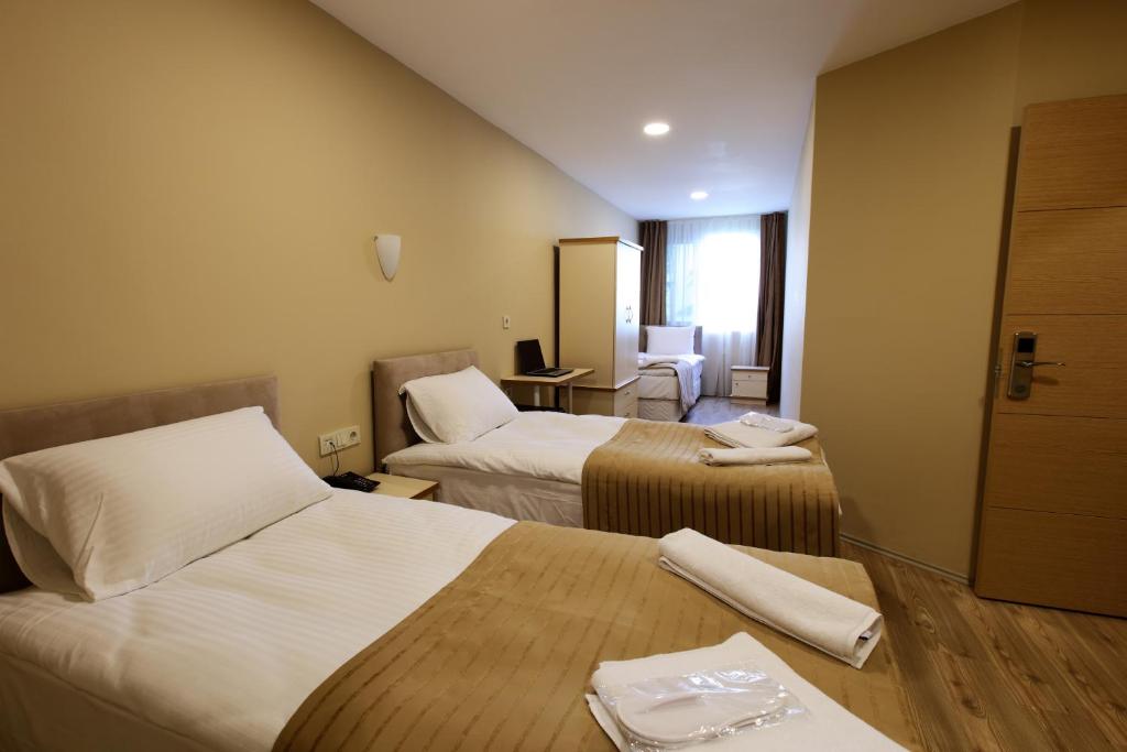 伊斯坦布尔卡德柯伊圣母酒店的酒店客房配有两张床和一张书桌