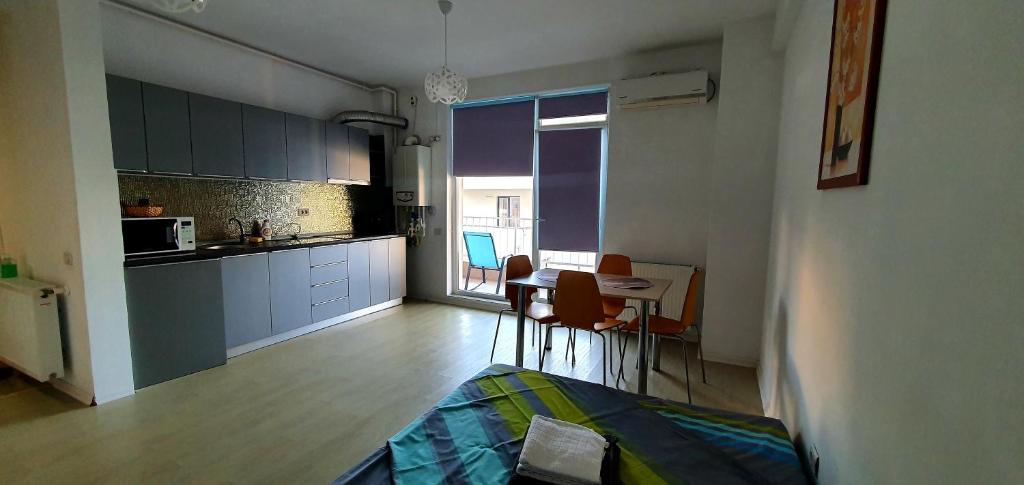 Apartament Ama 17 Mamaia Nord的厨房或小厨房