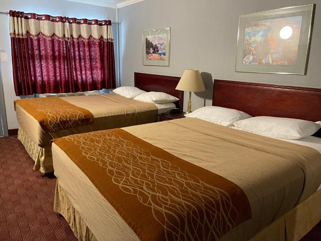 鲍曼维尔自由汽车旅馆的酒店客房设有两张床和窗户。