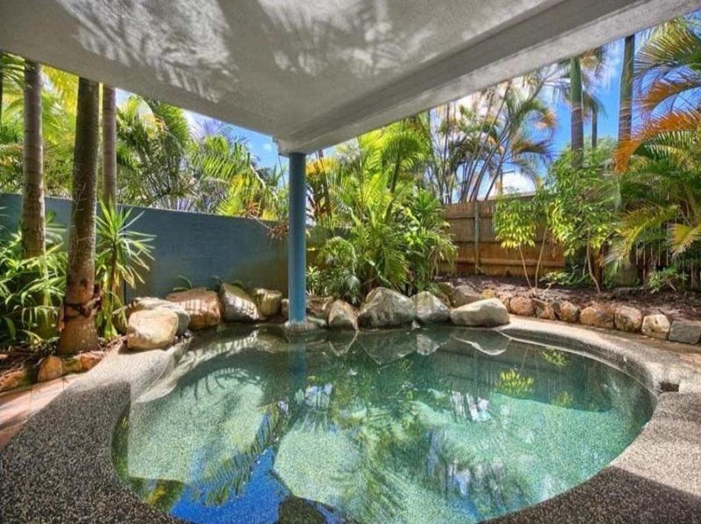 Cairns NorthCairns Sunshine Lodge的花园内的游泳池,带大伞