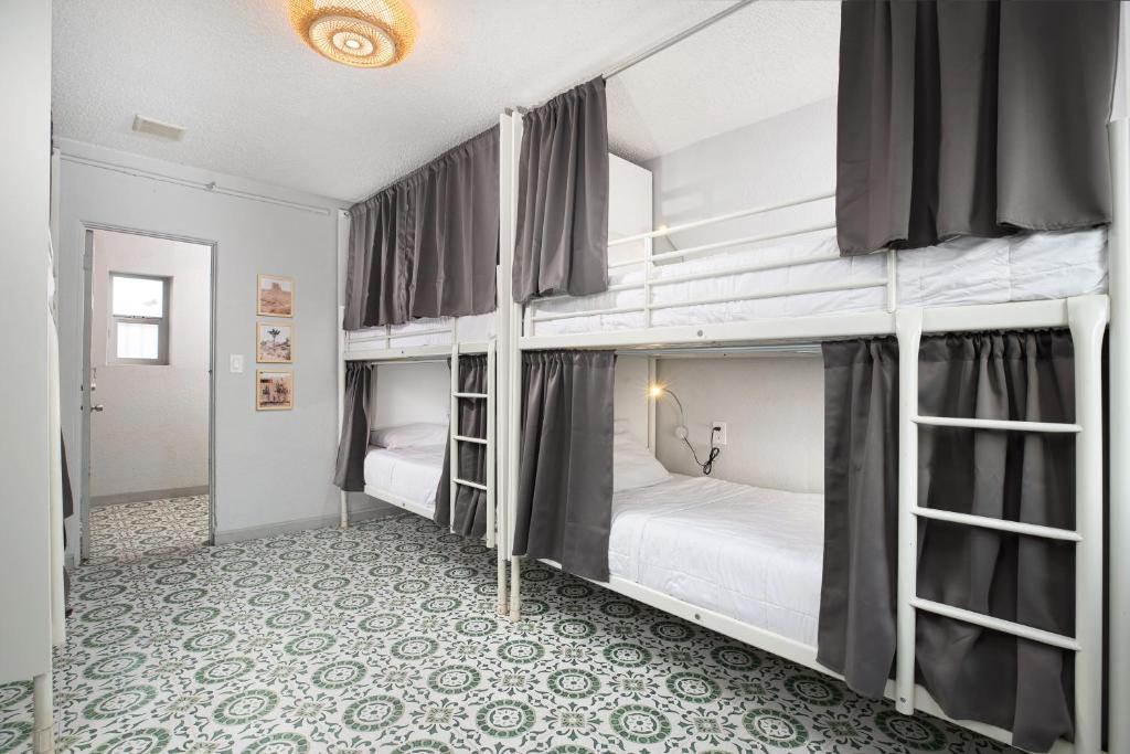 拉斯维加斯Bungalows Hostel的铺有地毯的客房内的两张双层床