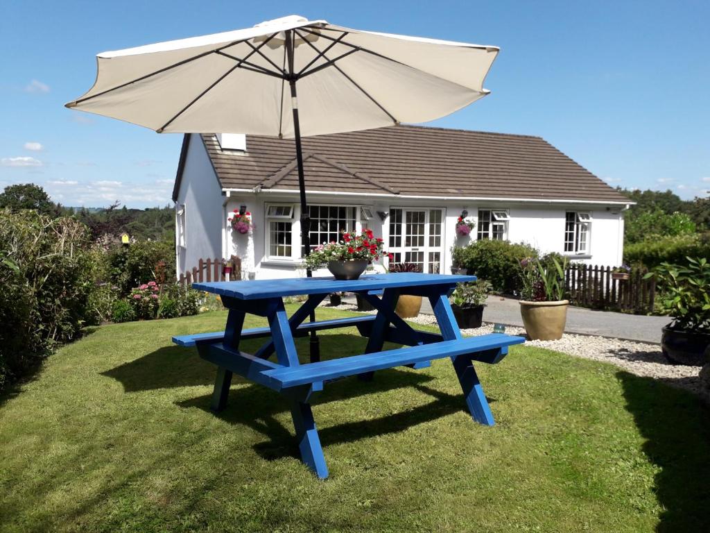 基拉尼O' Sullivan's B & B的屋前带雨伞的蓝色野餐桌