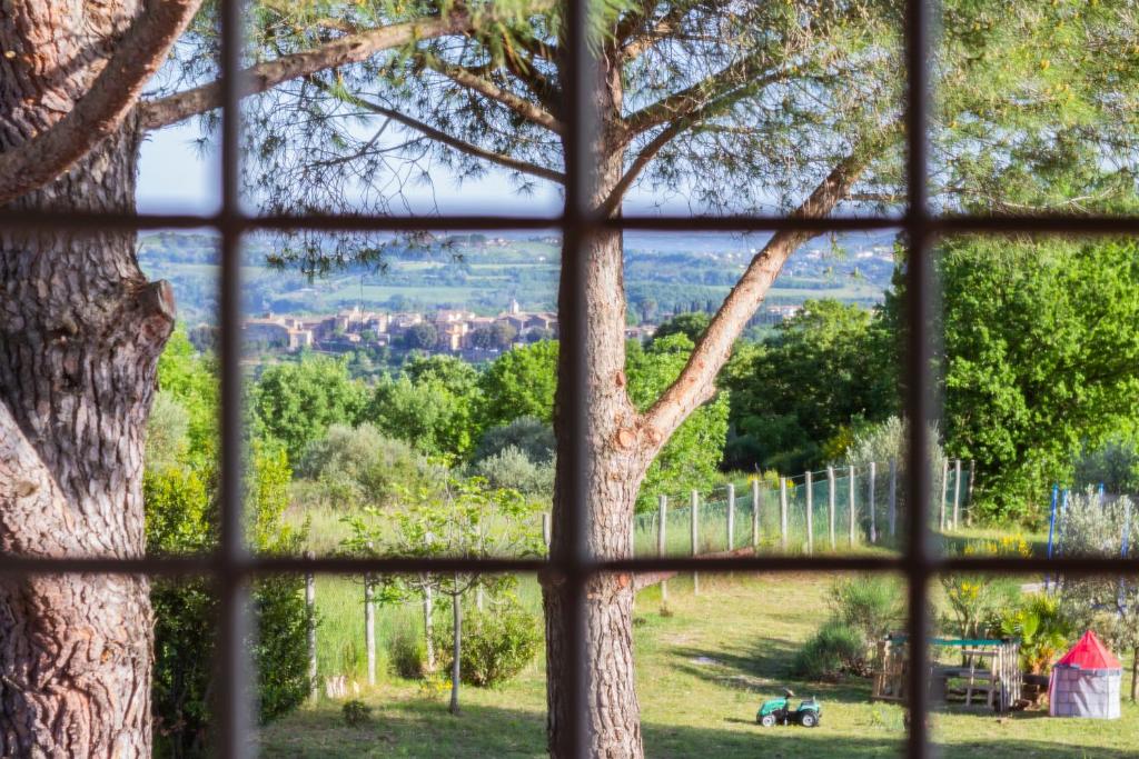 奥特里科利Casale Le Brecce b&b的从窗口欣赏树景